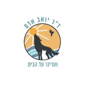 יואב אדם