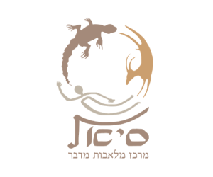 סיאל